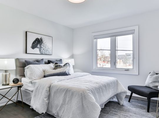 Quelles solutions adopter contre les punaises de lit pour une maison sereine ?